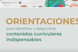 contenidos curriculares primaria