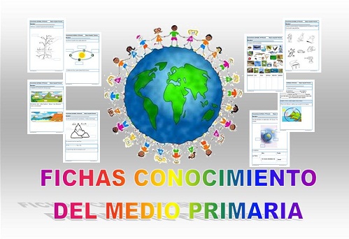 contenidos conocimiento del medio primaria
