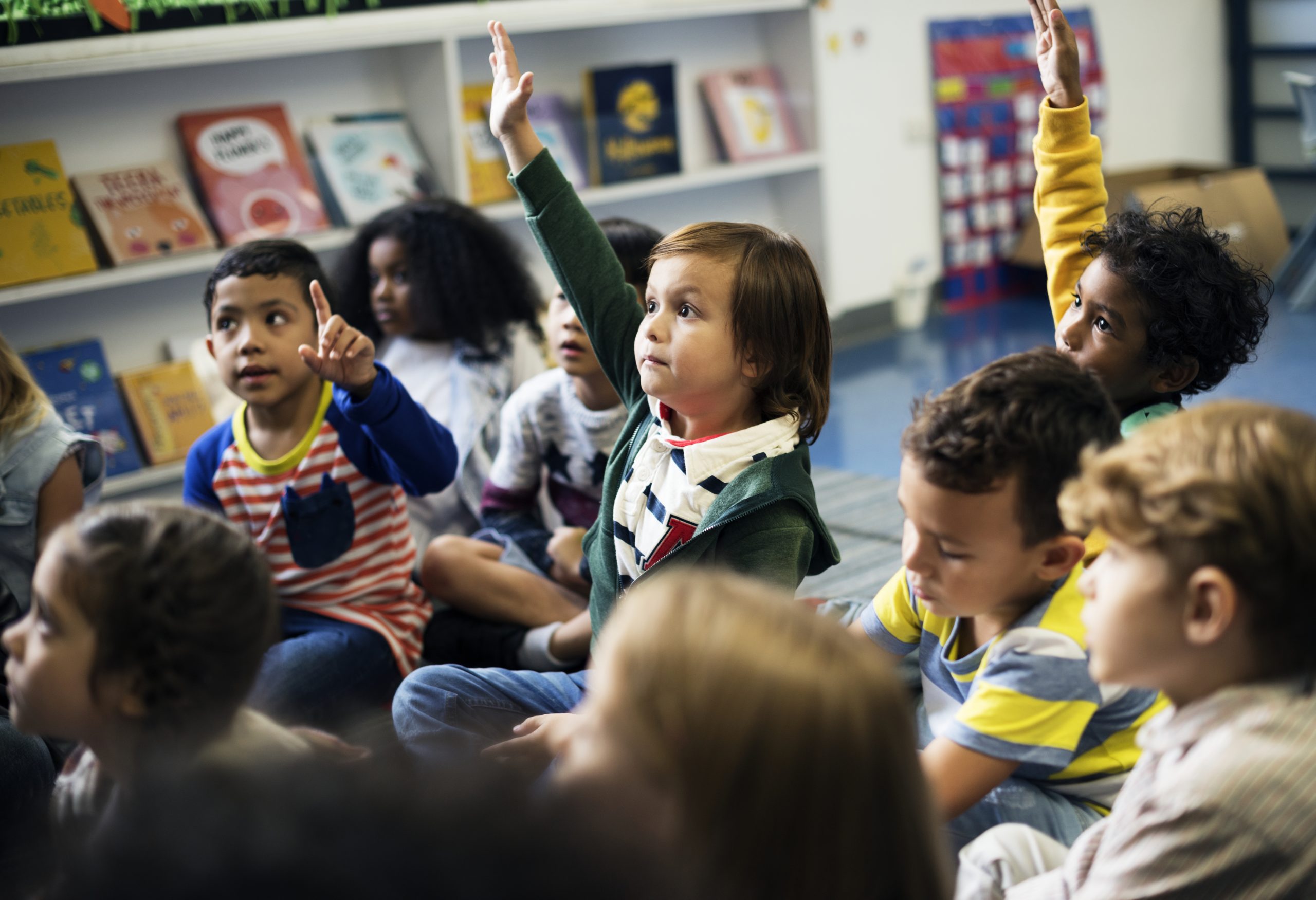 contenidos del curriculo de educacion infantil